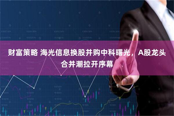 财富策略 海光信息换股并购中科曙光，A股龙头合并潮拉开序幕