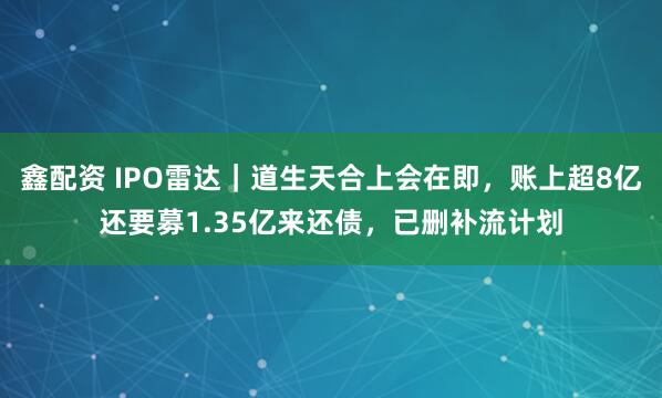 鑫配资 IPO雷达｜道生天合上会在即，账上超8亿还要募1.35亿来还债，已删补流计划