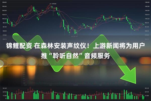 锦鲤配资 在森林安装声纹仪！上游新闻将为用户推“聆听自然”音频服务