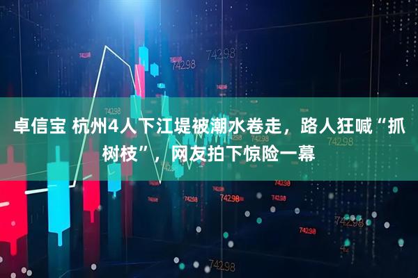 卓信宝 杭州4人下江堤被潮水卷走，路人狂喊“抓树枝”，网友拍下惊险一幕