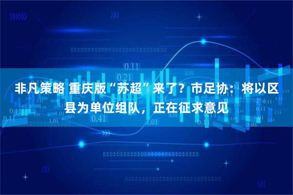 非凡策略 重庆版“苏超”来了？市足协：将以区县为单位组队，正在征求意见