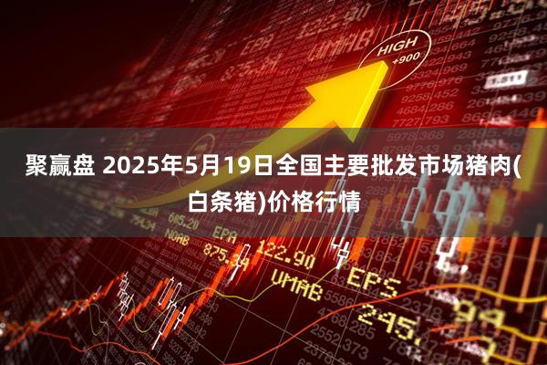 聚赢盘 2025年5月19日全国主要批发市场猪肉(白条猪)价格行情